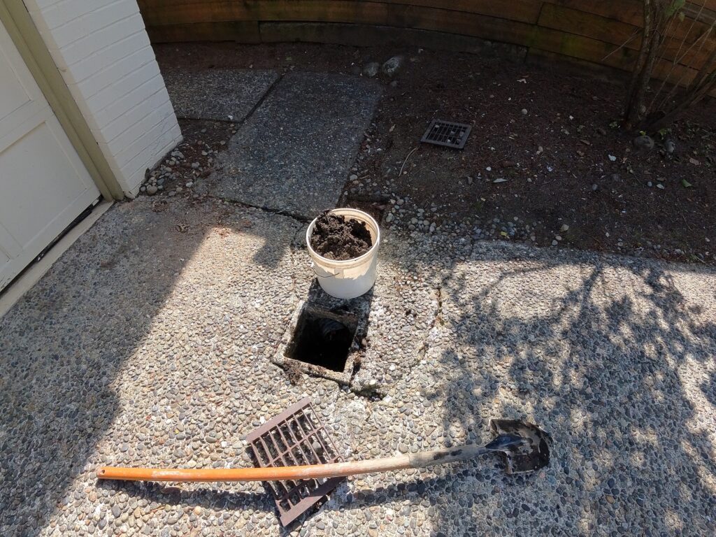 DIY Drain Cleaning Tips vs. Professional Sewer Cleaning: What’s Best?