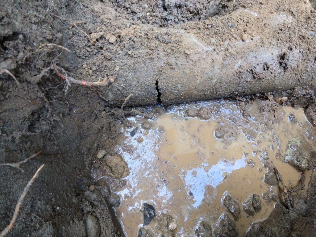 How to Identify When Your Sewer Line Needs Repair