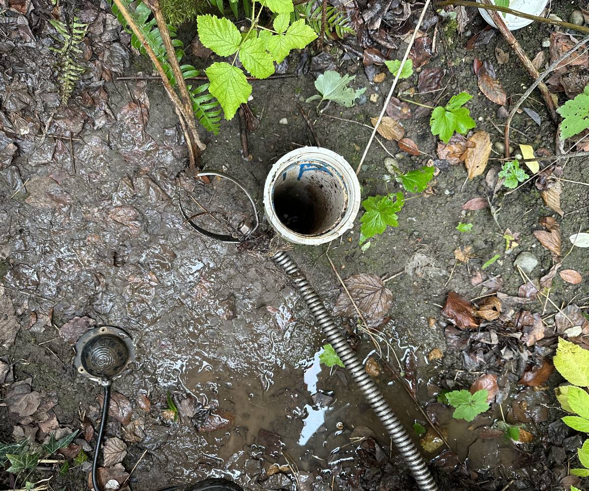 sewer line repair seattle wa