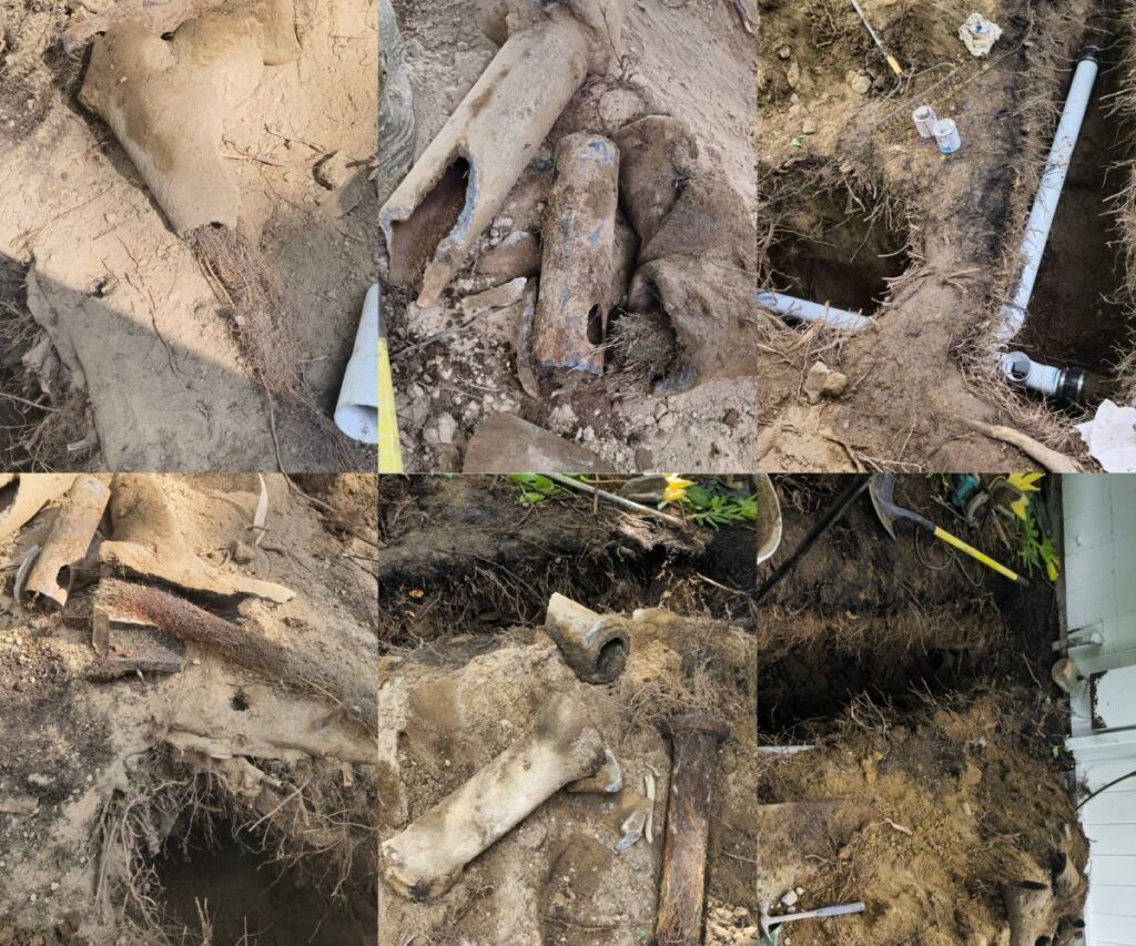 Damaged sewer pipe with tree root intrusion requiring repair.