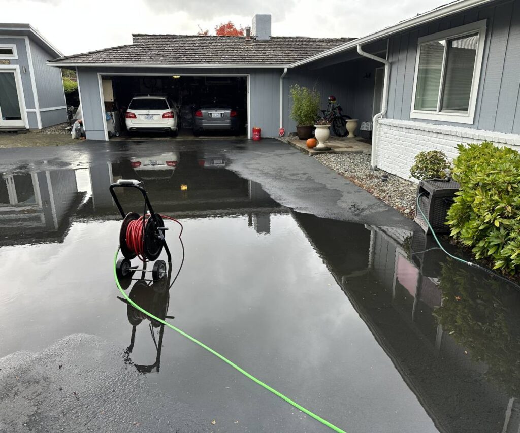 Seattle home with water pooling in yard due to poor drainage - Clogged sewer pipe in Seattle home before renovation