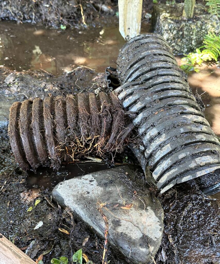 KnightRooter technician at work: A KnightRooter plumber performing a sewer line repair in Seattle