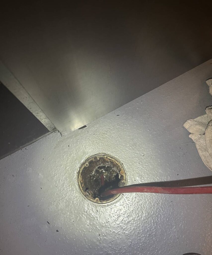 Eco-friendly drain cleaning for Seattle homes