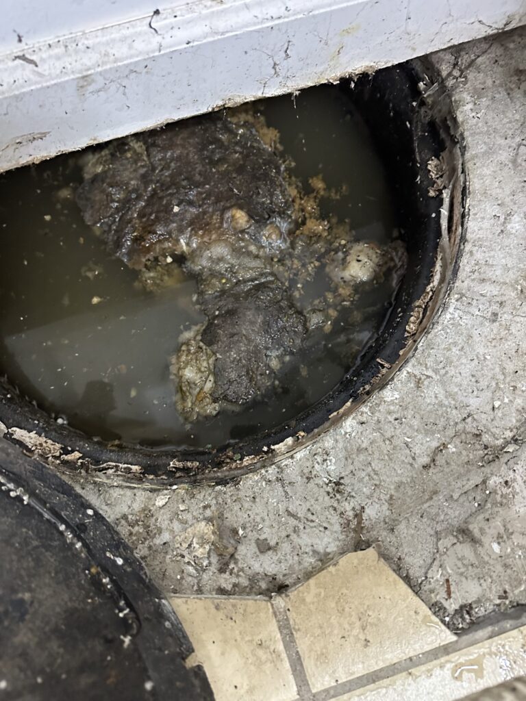 drain cleaning seattle